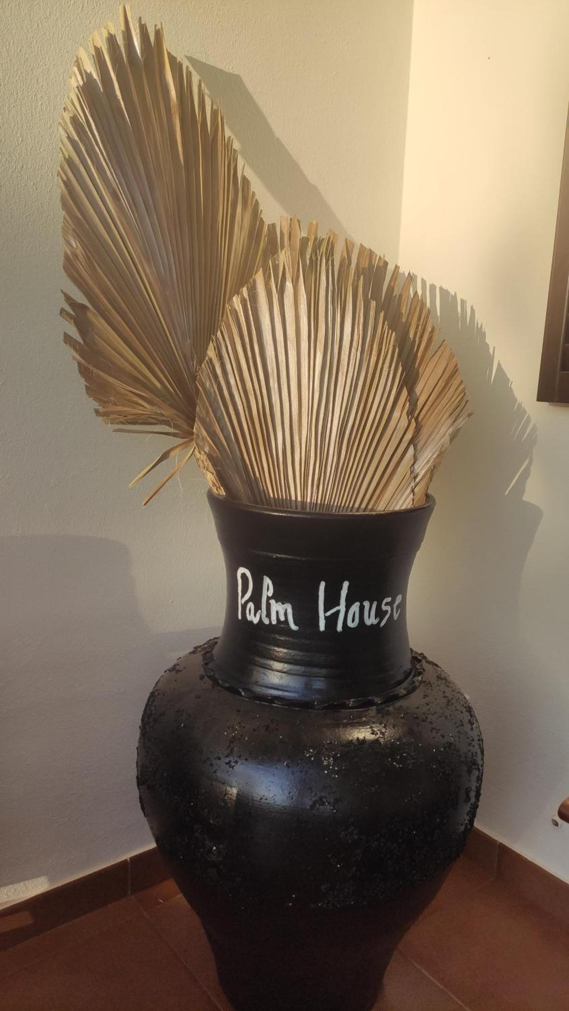 הוילה Palm House אלבור מראה חיצוני תמונה